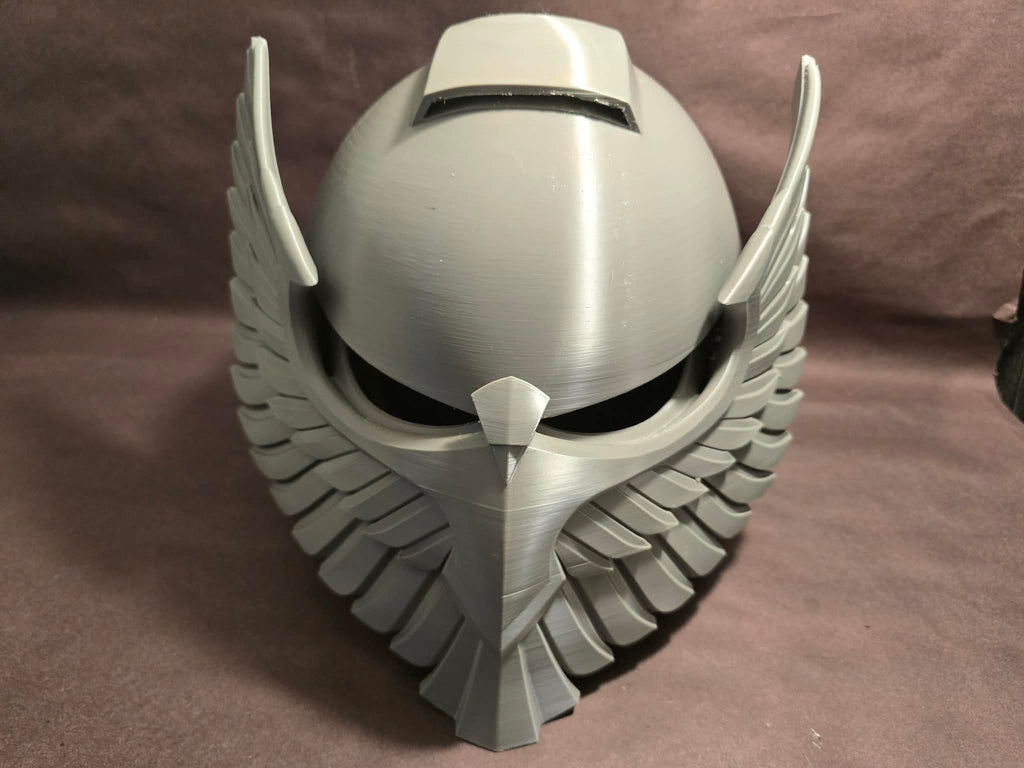 Winged Bulwark Helm