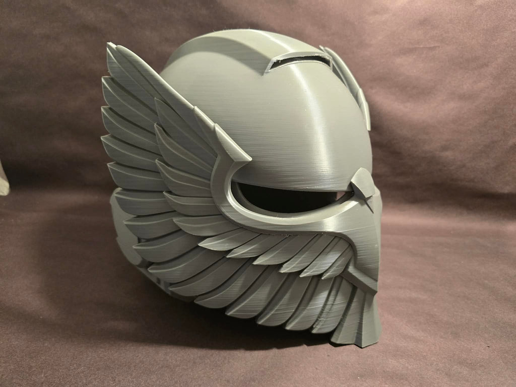 Winged Bulwark Helm