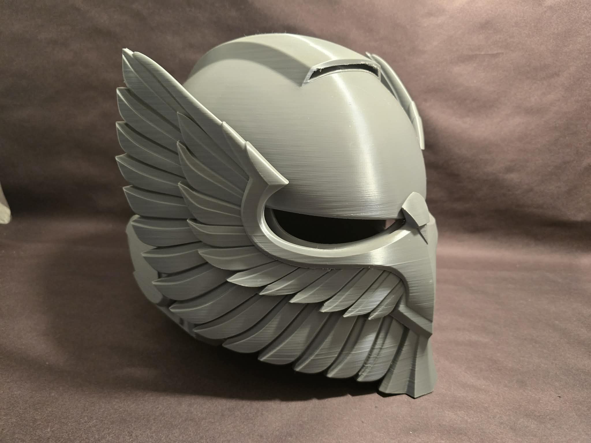 Winged Bulwark Helm